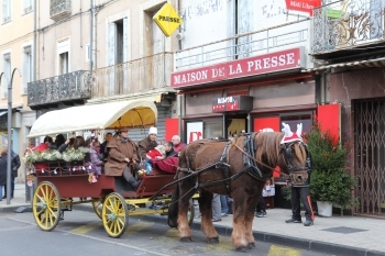 Cette année, des promenades en calèche dans les rues de la ville étaient proposées.