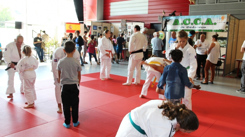 Forum des associations en ligne 2020