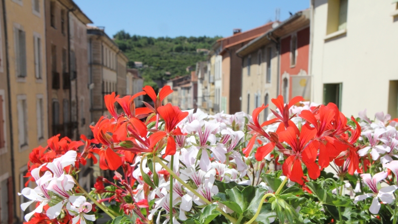 Concours des jardins et balcons fleuris