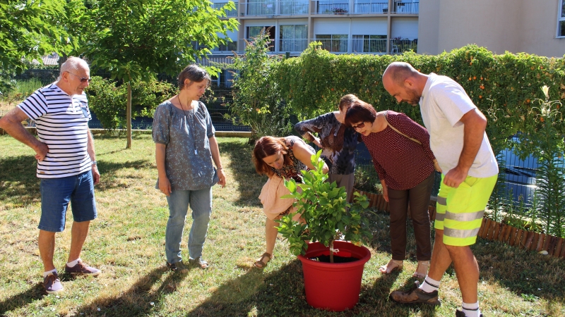 Concours des&nbsp;Jardins et&nbsp;Balcons Fleuris 2017