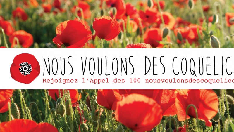 «NOUS VOULONS DES COQUELICOTS»