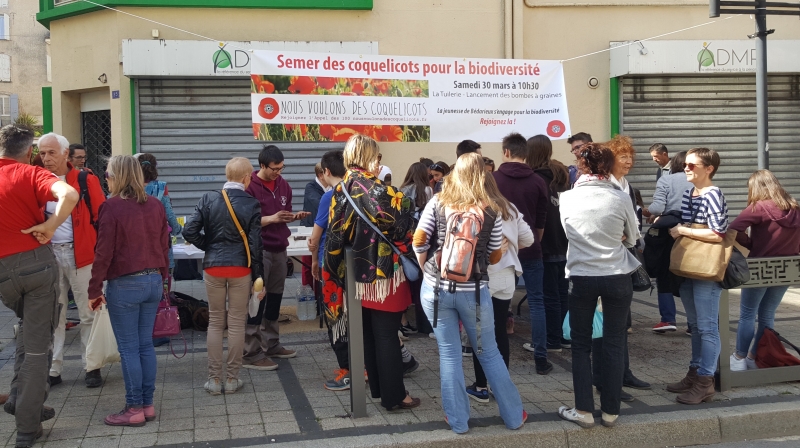 LES BOMBES &Agrave; GRAINES SONT PR&Ecirc;TES