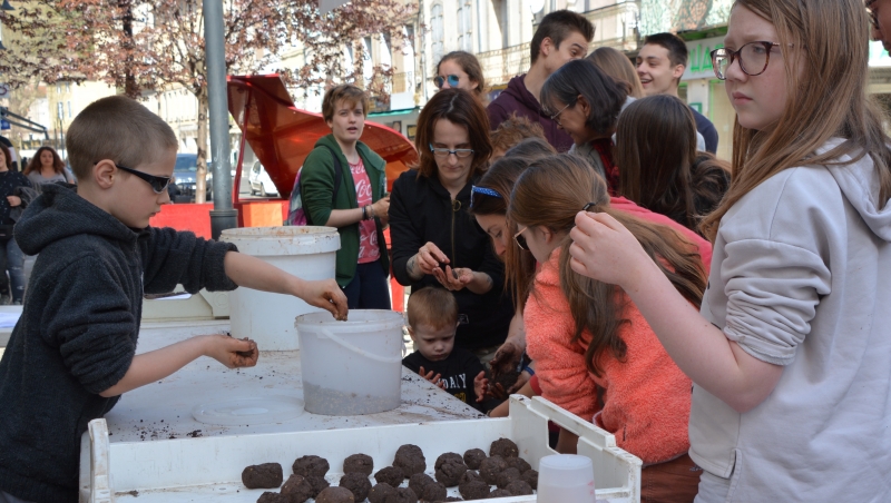 LES BOMBES &Agrave; GRAINES SONT PR&Ecirc;TES