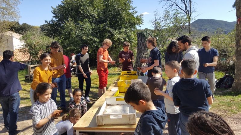 LES BOMBES &Agrave; GRAINES SONT PR&Ecirc;TES
