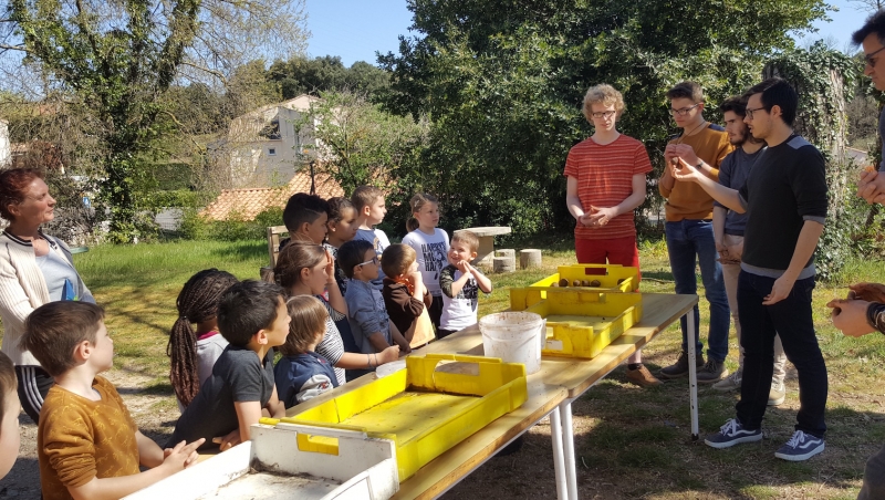 LES BOMBES &Agrave; GRAINES SONT PR&Ecirc;TES