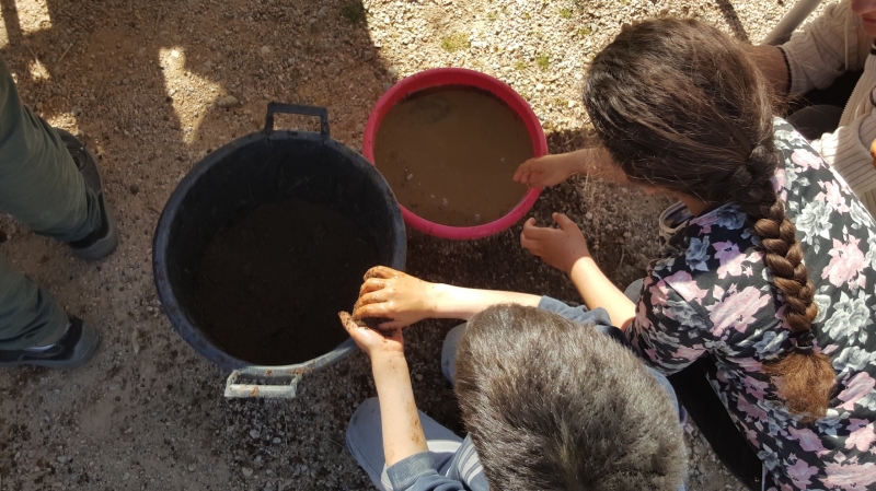 LES BOMBES &Agrave; GRAINES SONT PR&Ecirc;TES