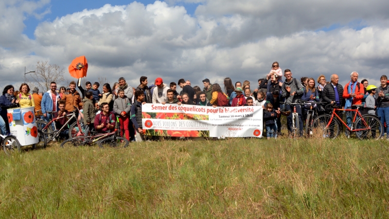 LES FLEURS SONT SEMÉES