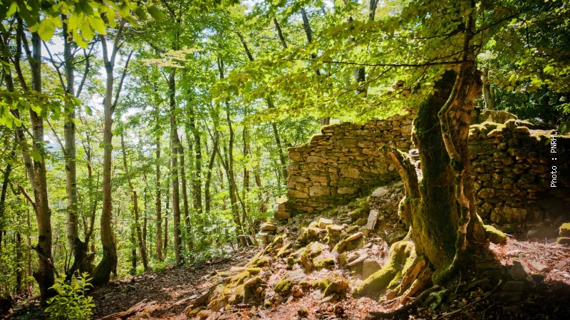 REMISE DES PRIX DU CONCOURS «SYLVOTROPHÉE» DU PARC NATUREL RÉGIONAL