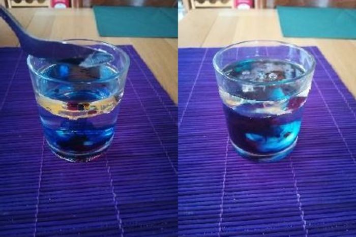 Nos animateurs proposent des tutos aux enfants