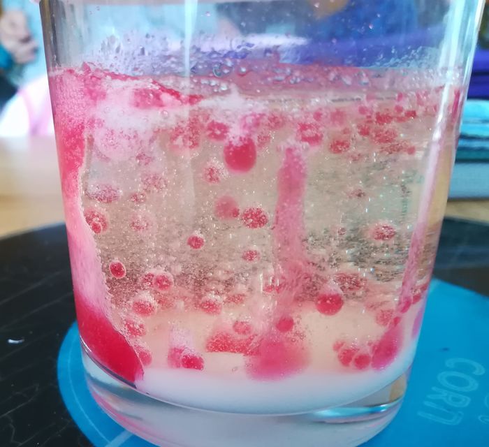 Nos animateurs proposent des tutos aux enfants