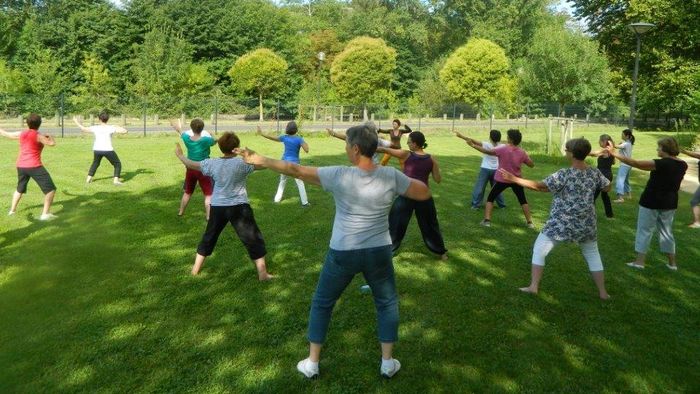 COURS DE QI GONG 