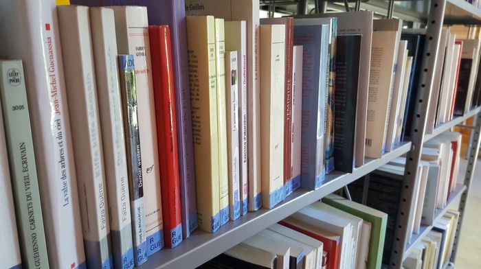 BRADE-LIVRES CONTINUE A LA MEDIATHEQUE