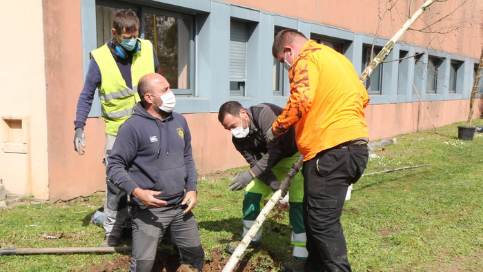 LA VILLE S’ENGAGE POUR SON PATRIMOINE VÉGÉTAL