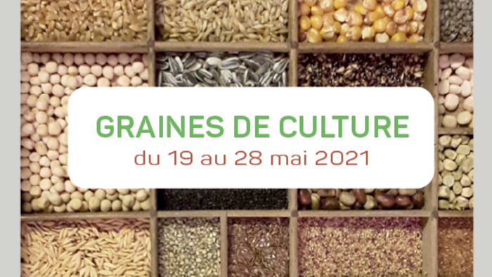 Graines de culture : un programme où les graines sont à la fête