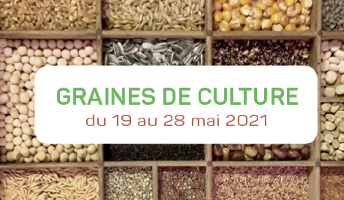 La médiathèque de Bédarieux inaugure sa grainothèque !