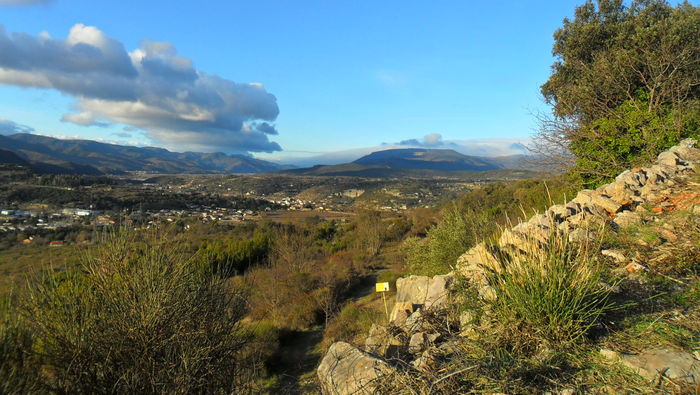 Visite Découverte du Causse de Bédarieux