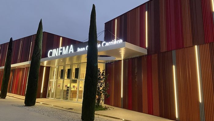 Soirée cinéma