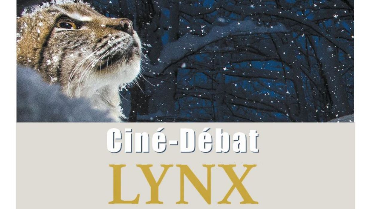 Ciné débat : LYNX