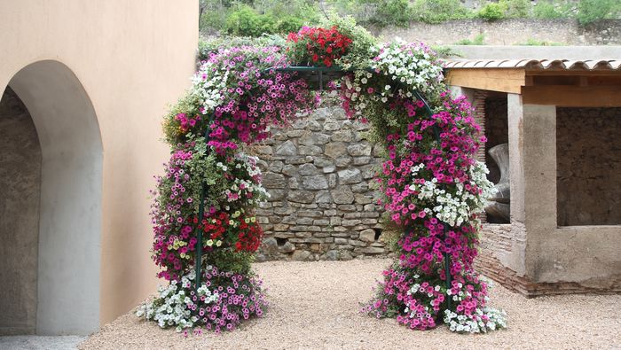 Coup de neuf pour le jardin du musée