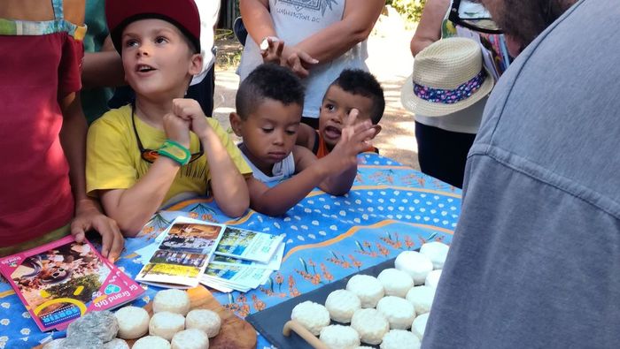 Mercredis au pays : la traite des chèvres de la frégère