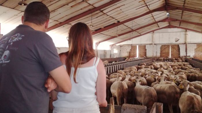 Mercredis au pays : vie à la ferme