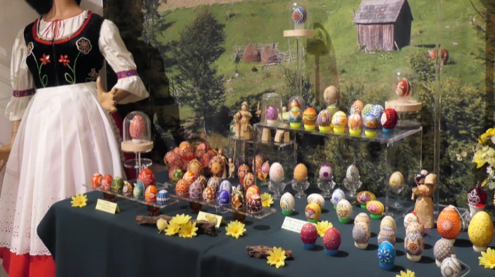 EXPOSITION – CURIOSITATS MUSEU