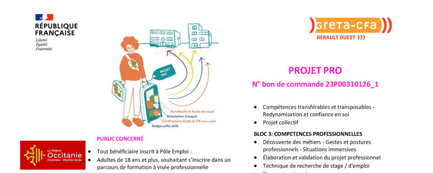 présentation de la nouvelle formation « Projet Pro » 2023