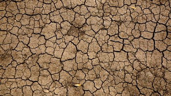 Alerte sécheresse : les mesures prises par la commune
