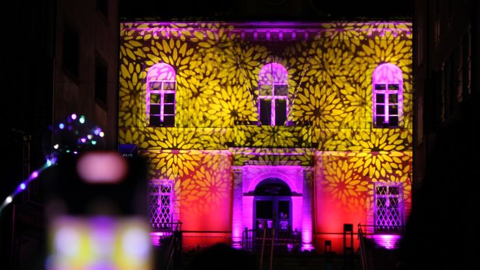 Retraite aux&nbsp;flambeaux et&nbsp;spectacle pyrotechnique