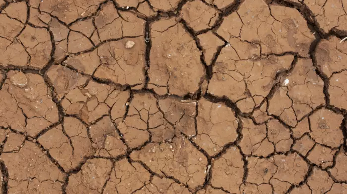 Reconnaissance de l’état de catastrophe naturelle sècheresse pour la commune