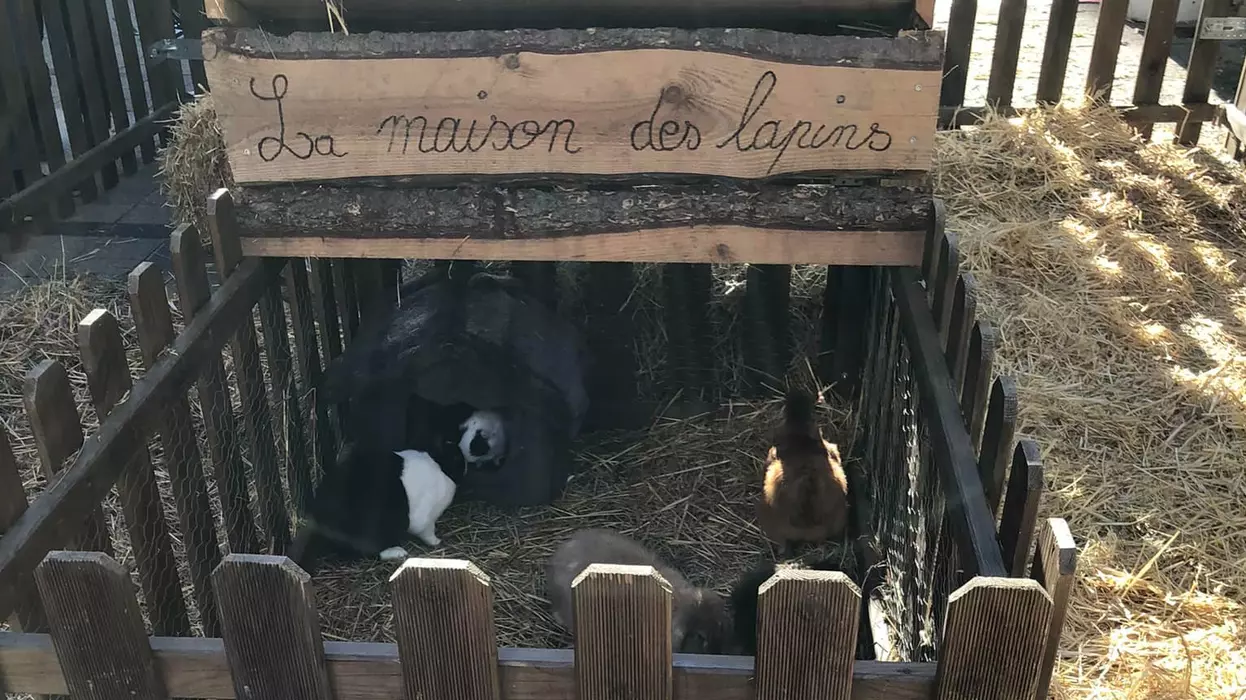 La petite ferme de&nbsp;Marou
