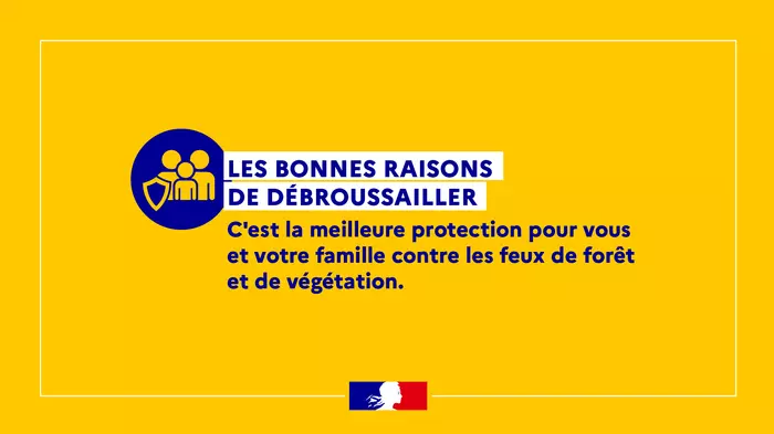 Les Obligations Légales de Débroussaillement