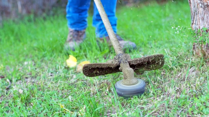 Obligations Légales de Débroussaillement