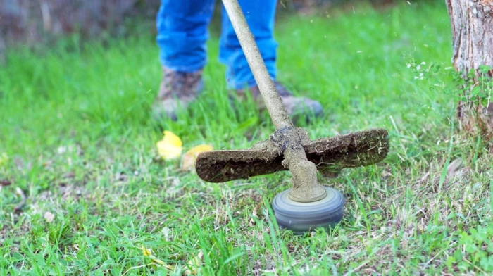 Rappel sur les Obligations Légales de Débroussaillement