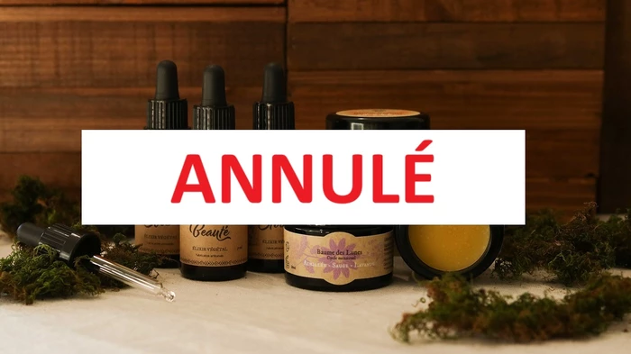 Les mercredis au pays :  la chouette carrée