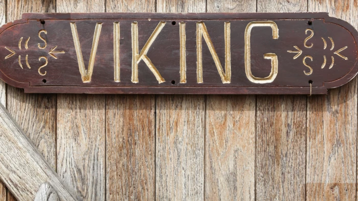 Un été viking au centre de loisirs !