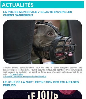 Lettre d'information N°412 - 9 octobre 2020
